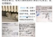 明星偷税爆料视频播放,明星偷税视频曝光引发社会热议