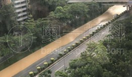 罗沙最新爆料公司有哪些