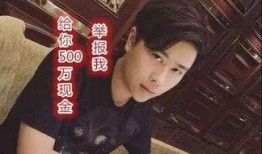 奇哥爆料呆呆视频合集,呆呆视频合集背后的精彩瞬间