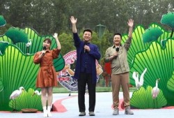 无机杀手最新爆料视频,最新爆料视频深度解析