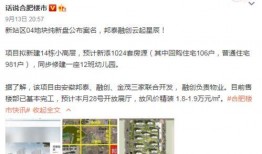 邦泰爆料最新消息,揭秘行业重大动态与趋势