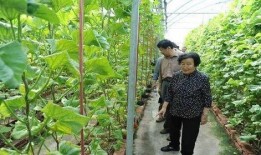 娱乐大爆料顶流小花,揭秘顶流小花背后的故事与魅力