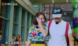 吃瓜情报站全集免费,揭秘娱乐圈幕后真相，免费全集大放送！