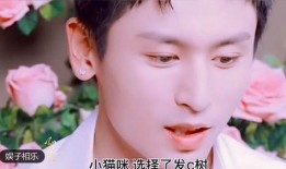 宝哥前妻爆料视频大全,揭秘婚姻背后的真相