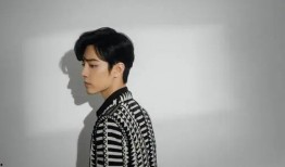 圈内爆料肖战陈星旭,揭秘娱乐圈的神秘恋情