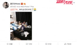 播乐子在线观看,在线观看，畅享欢乐时光