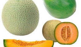 网红吃蜜瓜棒棒糖图片,甜蜜滋味引发网友热议