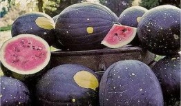 徐州网红吃瓜事件真相