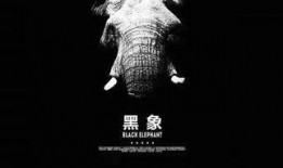 电影大象视频在线观看,揭示校园暴力的残酷真相，在线观看震撼心灵