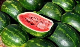 吃瓜太九最新吃瓜爆料汇总,娱乐圈风云再起，揭秘明星幕后真相