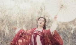 芦苇地在线观看,在线观看，探寻生命与自然的诗意交响