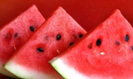 网红吃瓜免费,免费福利来袭，揭秘娱乐圈幕后故事