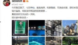 海杨村里人爆料视频大全,揭秘乡村生活百态