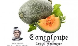 地府也吃瓜小说免费,揭秘冥界众生吃瓜大揭秘