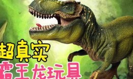 霸王龙爆料视频大全最新