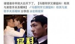 爆料马蓉的狗仔视频,揭秘婚姻破裂背后的真相