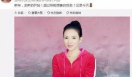 吴京章子怡最新爆料,幕后故事与幕后英雄