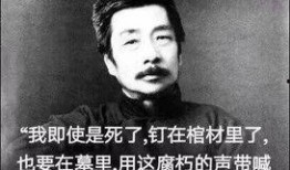 鲁迅最新爆料新闻视频下载,揭秘历史真相，引发社会热议