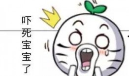 吃瓜动画表情包下载免费,轻松逗乐你的朋友圈