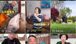 唐山打人内部爆料最新,惊人细节揭露真相