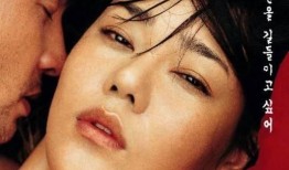 密爱韩国在线观看,浪漫邂逅，跨国恋情的甜蜜旅程