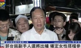 国民党副手候选人爆料视频,揭秘政坛背后真相