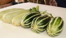 网红吃瓜免费,免费福利来袭，揭秘娱乐圈幕后故事