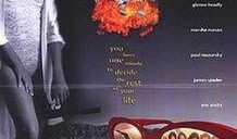 山谷两日在线观看,在线观影之旅，沉浸式体验自然奇观