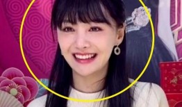 郑爽和热巴最新爆料,娱乐圈风云再起，真相揭秘引热议