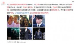 韩娱过年爆料事件视频,揭秘明星幕后真相