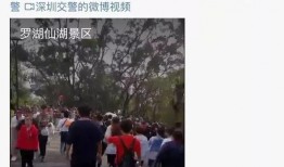 海杨村里人爆料视频大全,揭秘乡村生活百态