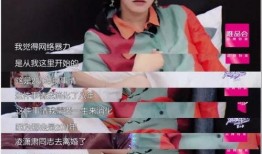 娱乐圈中人被爆料的事情,揭秘明星背后的秘密与争议