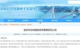 宜昌观察爆料新闻最新,揭秘宜昌某神秘项目背后真相！