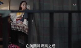 光洙姐姐爆料视频大全最新,揭秘娱乐圈幕后真相