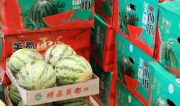 合肥吃瓜最新事件爆料新闻,揭秘背后真相与网络热议