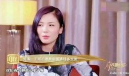 赵昭仪黑历史爆料视频,黑历史爆料视频背后的真相与争议