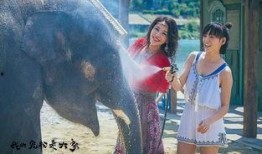 电影大象视频在线观看,揭示校园暴力的残酷真相，在线观看震撼心灵