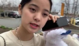 欧阳娜娜妹妹爆料视频播放,揭秘幕后真相