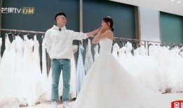 张嘉倪娱乐爆料视频播放,揭秘娱乐圈幕后真相