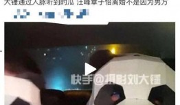 刘大锤爆料名单最新消息,揭秘娱乐圈风云变幻