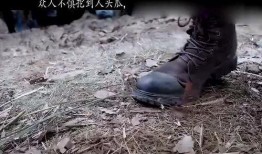 人头蜈蚣在线观看