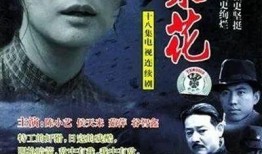 电视剧苦菜花在线观看,抗战岁月里的坚韧与抗争