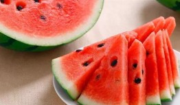 西瓜食堂爆料怎么做视频,揭秘视频制作全攻略